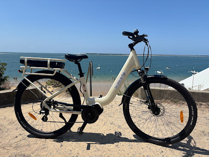 Les vélos du Pyla, livraison à domicile