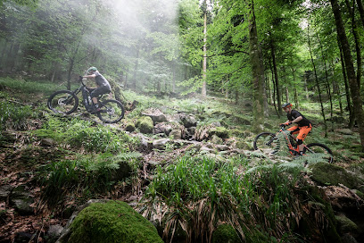 LE PETIT VELO ROUGE – Bike rental, Guiding, Courchevel § 3 Vallées