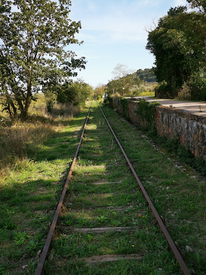 Vélorail du Canal du Midi
