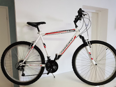 BIKE SERVICE 26 – location vélos et trottinettes éléctriques en Drôme Provençale