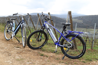 Potes 0&rsquo;Bikes