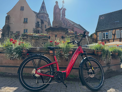 DOPAMINE Bike Rental
