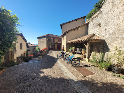 Location VTT electrique