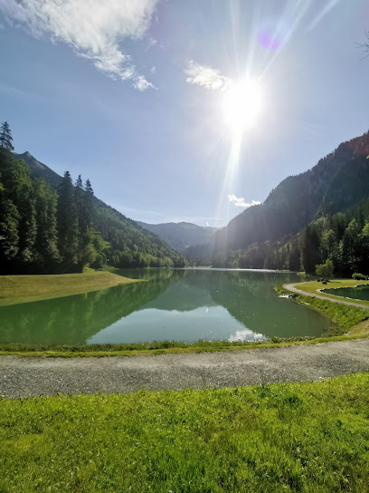 Start Line MTB Lac du Montriond, location velo / bike hire