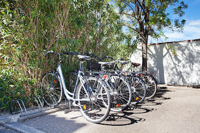 1 Veloc Camargue- Bike Rental Le Rodin