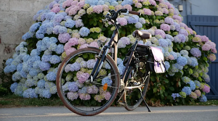 Capt Bikes agence de location vélos électriques
