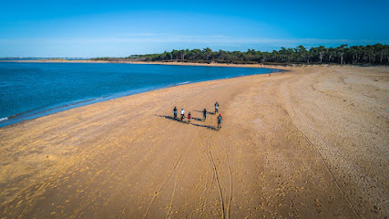 Fat Sand Bikes 17