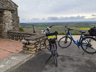 Alta Bike