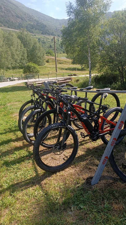 Location VTT électrique artbikecollroig