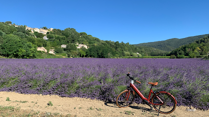 STATIONS BEE&rsquo;S LUBERON ROBION