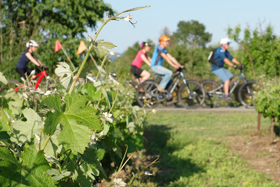 Ardèche Vélo – Randonnées guidées à vélo et à VTT en Ardèche