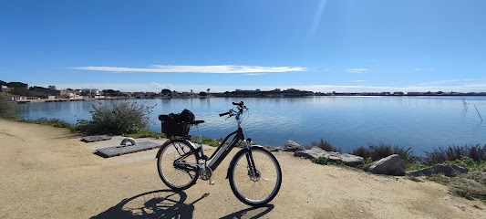 Bump Cycles