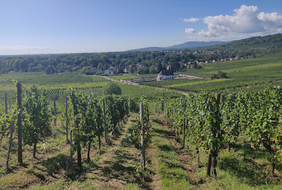 Circuit de Bacchus le trötele