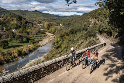 Cévennes Bike Tour