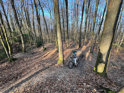 Spot de VTT