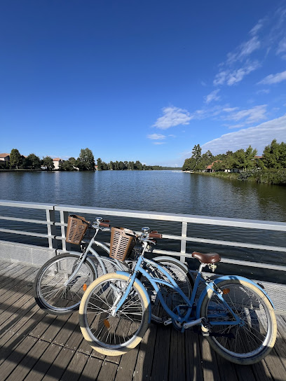 Freelandes location vélo Soustons plage – Vieux Boucau