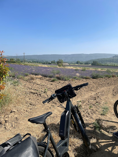 Cyclix