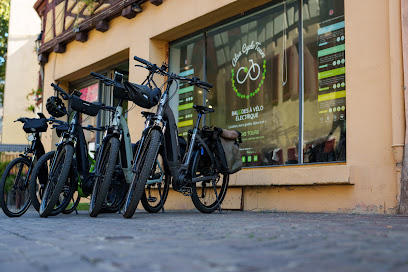 Colmar Bike Tours