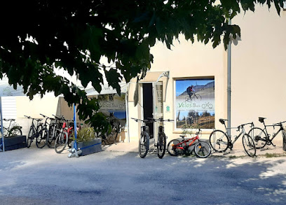 Vélos Buis