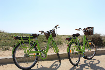 Vélivélo – Location de Vélos et Trottinettes électriques – Réparation