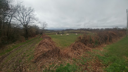 Le Grand Roche ( Circuit running -Vtt – WTP )