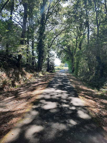 Voie verte Marsan-Armagnac