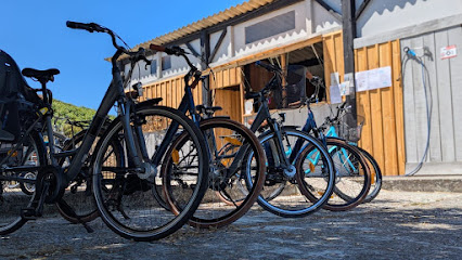 Naujac Cycles Location