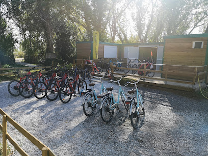 LOCATION VELO CAMARGUE