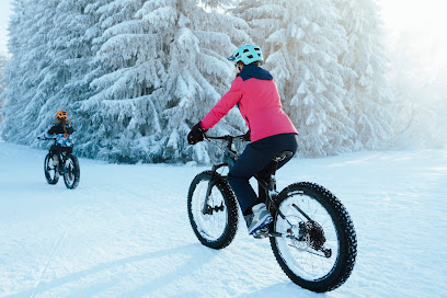 Expérience Vélo / VTT Fatbike électrique, activités de groupe et Team Building