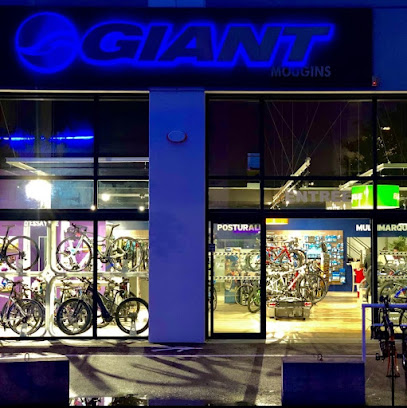 Giant Mougins