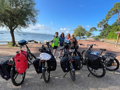 VELOTINO-Service de location de vélos en courte et longue durée avec livraison / Bike Rental services in Bordeaux