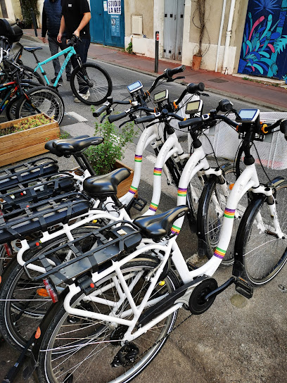 Les Vélopolitains