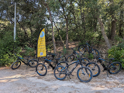 Châteaux à Vélo — Locations de Vélos et itinéraires