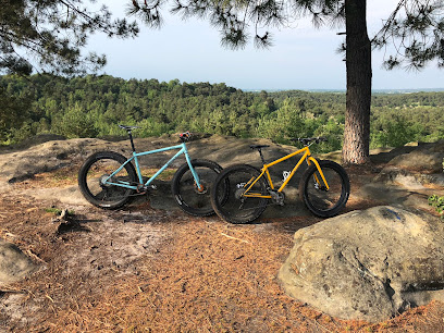Vtt fontainebleau