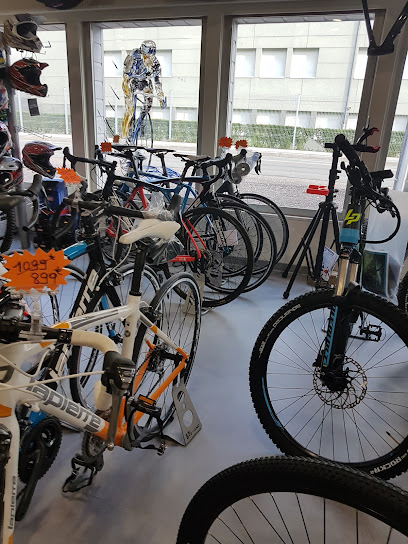 Cycles Brun