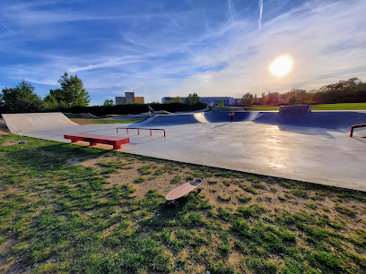 Skatepark et pumptrack de Brindas