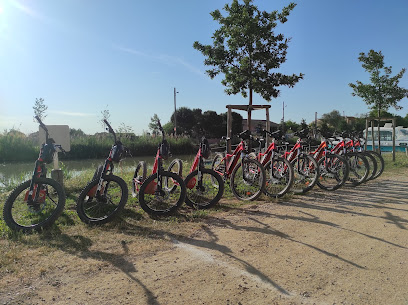 Bigupcycling Location vente réparation de vélo canal du midi