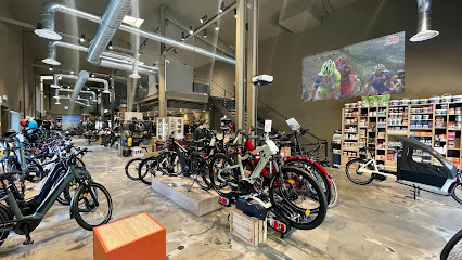 Bikery