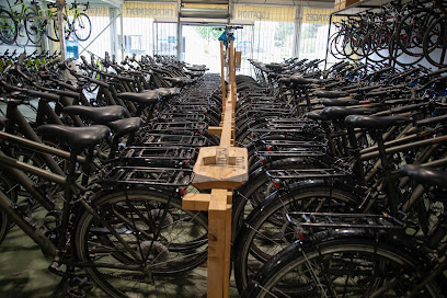 Evadeo Cycles