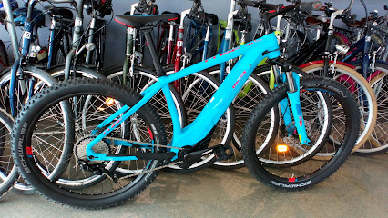 Vélos d&rsquo;Albret location Vieux Boucau
