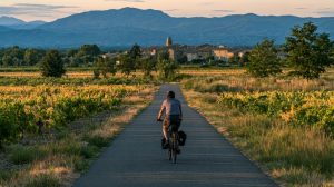 Via rhona et vins de la région : une expérience à vélo unique